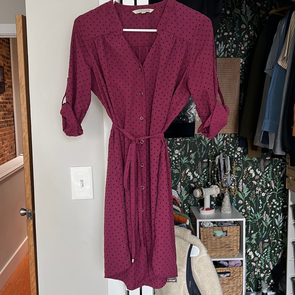 41 Hawthorn (Stitch Fix) dress size XS